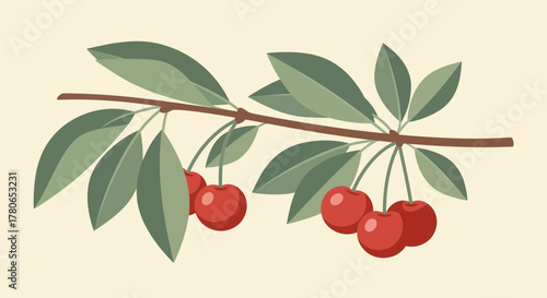 Illustrated cherry branch with ripe fruit and green leaves simplicity style