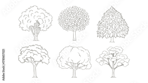 Diverse Tree Collection: An assortment of meticulously detailed tree illustrations, showcasing various shapes and textures, perfect for adding a touch of nature to your creative endeavors.