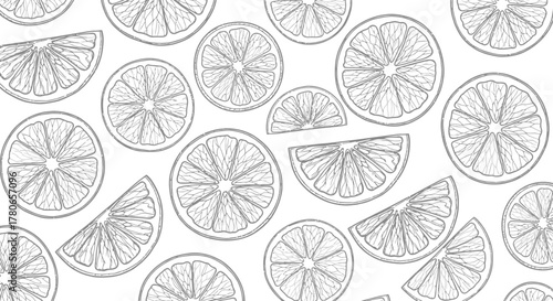 Elegant seamless pattern with monochrome orange slices illustration