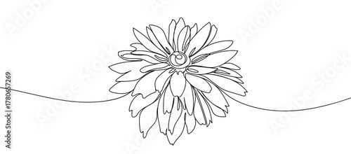 Outline drawing of a flower. Elegant continuous line art floral design perfect for posters, logo, tattoos, or modern interior wall decor