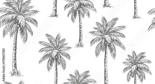 Hand-Drawn Palm Tree Seamless Pattern for a Tropical Vibe Aesthetic