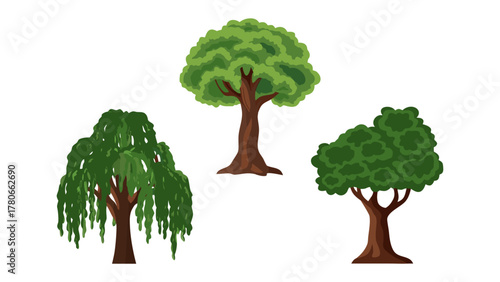 Green Trio: A vibrant array of diverse trees stand tall, each flaunting its unique canopy, showcasing the rich diversity of nature's botanical designs. 