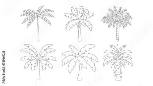 Palm Tree Collection: An assortment of diverse palm tree illustrations, each a testament to nature's intricate artistry, ready to enhance creative projects. 