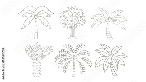 Tropical Palms Collection: A collection of various palm tree illustrations, each showcasing unique design and tropical allure.