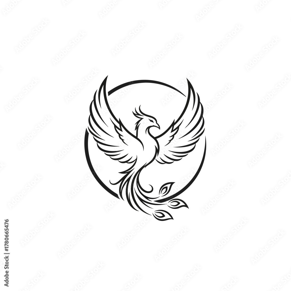 Obraz premium Adobe Illustrator Artwork