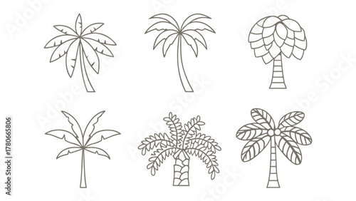 Palm tree illustrations: Simple yet striking illustrations of palm trees, each showcasing the unique elegance and tropical allure of these iconic trees.