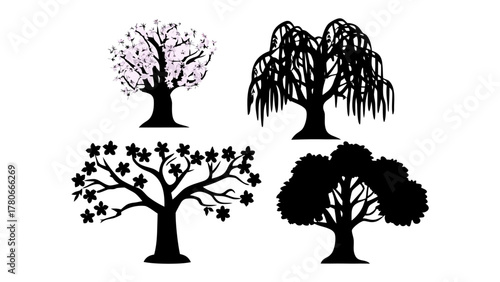 Silhouette of Four Tree Varieties: A curated collection presents the silhouettes of four distinct tree varieties against a neutral backdrop, each showcasing unique branch structures, foliage patterns.