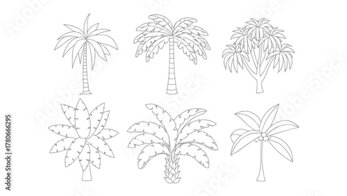 Palm Tree Varieties: A collection of various palm tree illustrations showcasing the diverse forms and foliage. These line drawings are suitable for both educational and creative purposes.
