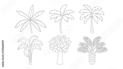Palm Trees Collection: An array of palm trees displayed in intricate, detailed line art, inviting the viewers imagination for creative use