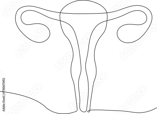 An anatomical line drawing of the human uterus, including the fallopian tubes and ovaries. The image is detailed with simple black outlines, showing the structure in a clear and educational way