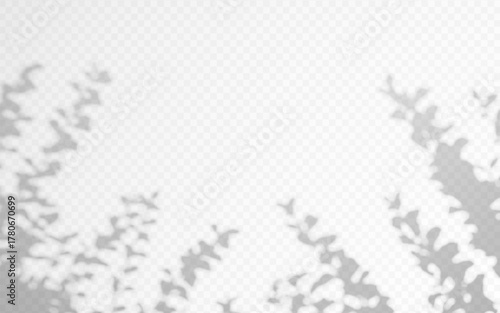 Shadow overlay bush on transparent background. Shade plant vector effect