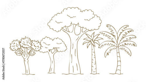 Diverse Trees Illustration: A simple yet elegant illustration showcases the beauty and diversity of trees, depicting a variety of species with different shapes and sizes. 