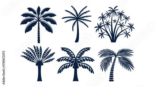Tropical silhouettes: A collection of six stylized silhouettes of tropical palm trees in varying shapes, creating a sense of exotic locales and idyllic landscapes.