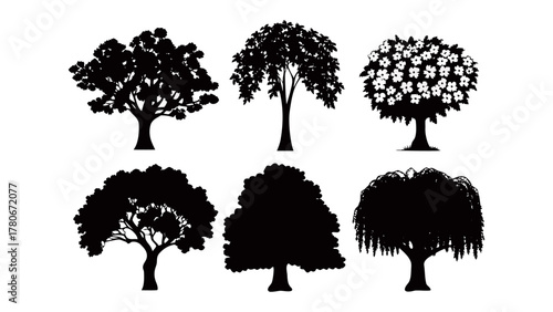 Silhouette of the Trees: An artistic representation of several different trees in silhouette, showcasing the diverse shapes and forms found in the natural world.