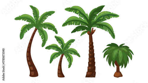 Tropical Palms Illustration: A vibrant illustration showcasing an ensemble of lush tropical palm trees, each with distinctive characteristics, creating a visual symphony of the tropics.