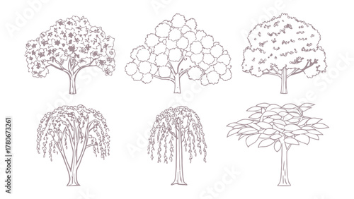 Different Tree Varieties in Outlines: A detailed illustration showcasing diverse tree varieties, each rendered with precise outline and characteristic form. The image highlights a collection of tree.