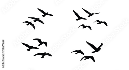 A flock of black birds silhouetted against a bright white background