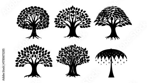 Tree Silhouettes: A collection of six diverse tree silhouettes, intricately crafted to showcase unique foliage and forms, perfect for artistic and design projects.