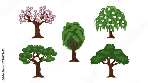 Diverse Trees: A vibrant illustration showcasing a collection of diverse tree species, each with unique foliage and characteristic forms.