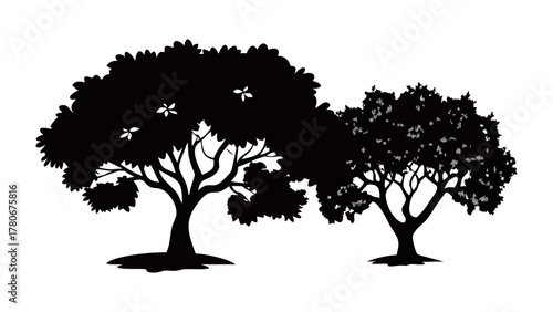 Silhouette Trees: A captivating display of silhouettes, featuring two intricately detailed trees. This image showcases the beauty of nature through dramatic shadows and contrasts.