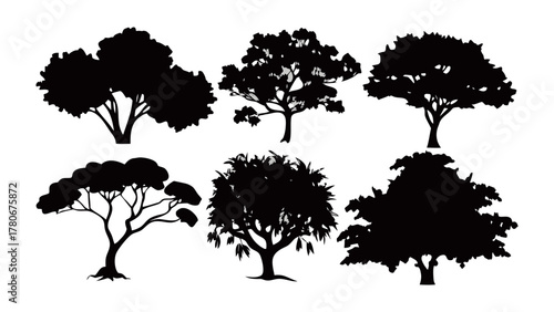 Photos Silhouetted Trees: A collection of various tree silhouettes, perfect for adding a touch of nature and artistry to any design