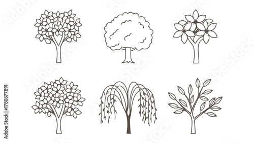 Tree Diversity: A collection of various trees illustrated in a minimalist style, showcasing the unique beauty of each species and celebrating the diversity of the natural world.