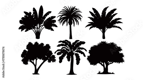 Diverse Trees Silhouettes: Capturing the beauty of nature through intricate silhouettes, a collection of diverse trees stands in elegant black. Each one tells a unique tale of growth, life.