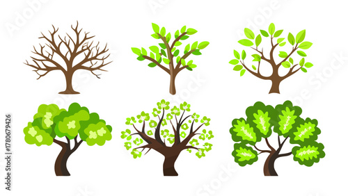 Diverse Tree Collection: A collection of six trees showcasing the variety of shapes and styles. A celebration of arboreal diversity.