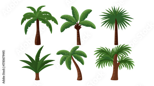 Palm Tree Collection: A selection of six beautifully rendered palm tree illustrations, each showcasing unique variations, ideal for adding a touch of tropical flair. 
