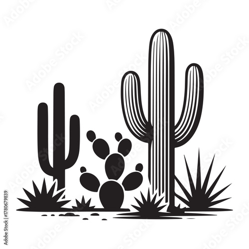 Succulent cactus vector