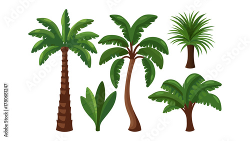 Tropical Flora Illustration: A vibrant collection of stylized palm trees showcases the beauty and diversity of tropical flora, each one a unique emblem of the sun-kissed tropics.