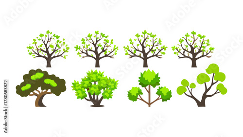 Diverse Tree Collection: A vibrant array of trees, each showcasing unique forms, colors, and foliage, offers a spectrum of arboreal diversity.