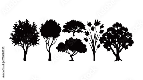 Silhouette of Flora: A captivating ensemble of six distinct tree silhouettes, a testament to the diverse shapes and forms found in the natural world.