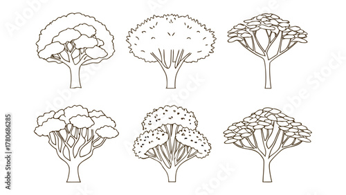 Diverse Tree Collection: A series of meticulously crafted tree illustrations, showcasing a variety of shapes and styles, perfect for adding an organic touch to any design project. 