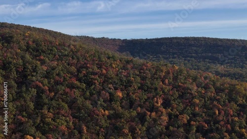 Autumn forest fly drone view