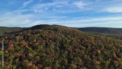Autumn forest fly drone view