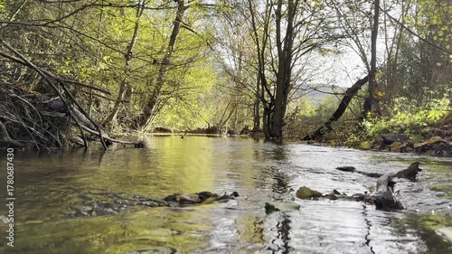 Autumn river Europe forest
