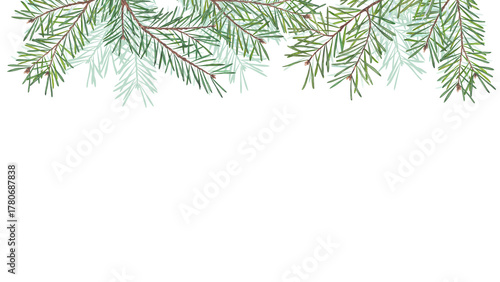 Watercolor border with pine branches isolated on white background. Natural conifer greenery frame for Christmas design, invitations, winter cards, and holiday decoration projects.