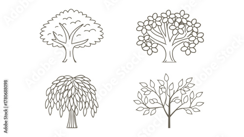 Variety of Trees Line Art: A collection of diverse tree illustrations, each showcasing unique foliage. Perfect for educational, environmental and design projects. 