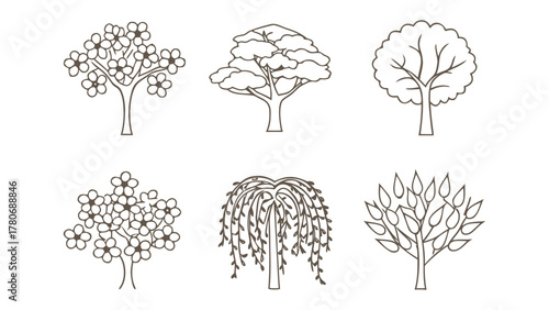 Tree Collection Line Art: A diverse array of elegant tree illustrations in refined line art, each representing unique botanical forms and foliage. Suitable for design.