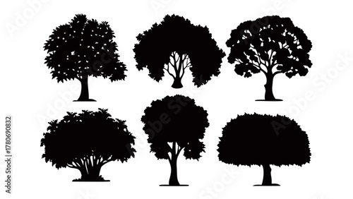 Silhouette Trees: A collection of various trees, each a unique silhouette against the natural background, highlighting the diversity and forms found in the natural world.