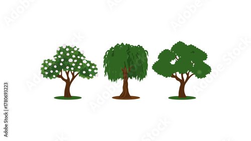 Array of Trees: Featuring three distinct trees, each boasting a unique shape and foliage, stands as a testament to the diverse beauty of nature.