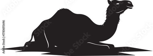 Black silhouette of a dromedary camel resting in the desert sun stark and iconic wildlife capture