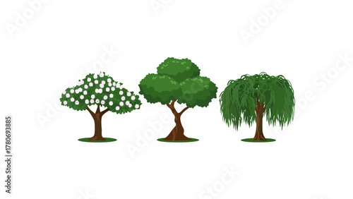 Three Varieties of Trees: A collection of various tree types stands tall, showcasing the diversity of nature with their unique foliage and forms.