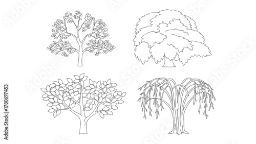 Variety of Trees Silhouette: A collection of various tree types, illustrated in simple outlines, offering a glimpse into the diverse forms found in the natural world.