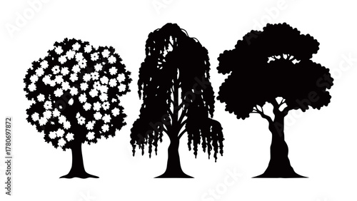 Tree Silhouettes: Three elegant tree silhouettes in a captivating display of nature's artistry, showing the graceful forms of trees, creating a captivating visual of the outdoors.