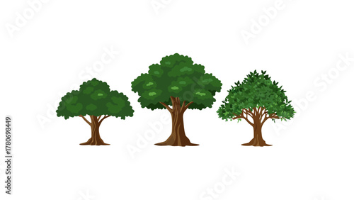 Trio of Trees: Depicting three vibrant trees, each with its unique shape and lush green canopy, set against a pristine backdrop, creating a scene of natural beauty and serenity.