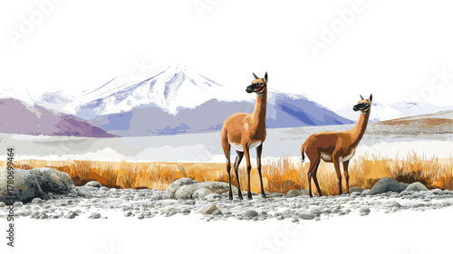 Eduardo Avaroa Andean Fauna National Reserve. Eduardo Avaroa Andean Fauna National Reserve hand drawn watercolor illustration