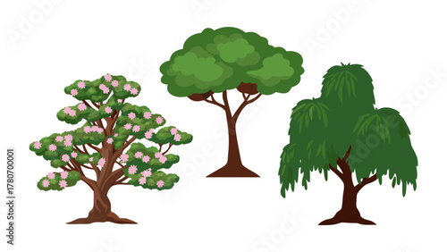 Variety of Trees: Explore a collection of different trees. The image showcases the beauty and diversity of nature's arboreal wonders.
