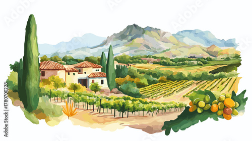 Mendoza Wine Region. Mendoza Wine Region hand drawn watercolor illustration